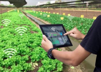 Smart Farming Harvest Future Abundance in Agriculture