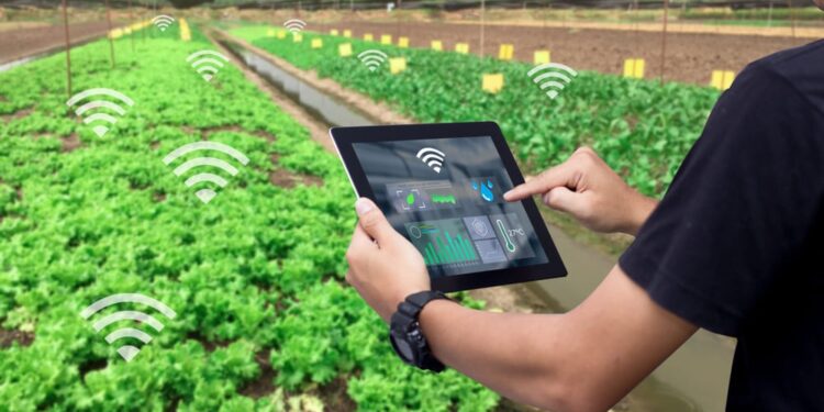 Smart Farming Harvest Future Abundance in Agriculture