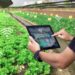 Smart Farming Harvest Future Abundance in Agriculture